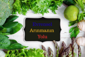 EVRENSEL ARINMANIN YOLU