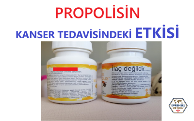 Kanser Hastaları Neden Propolis Kullanmalı