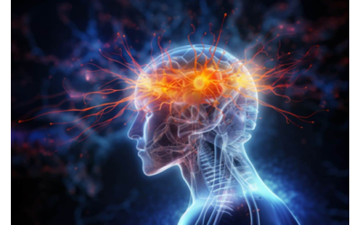 AMİGDALARININ EPİLEPSİ ANİ ÖLÜMDEKİ ROLÜ