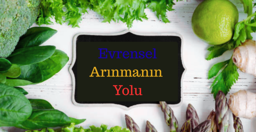 Evrensel Arınmanın Yolu Programı